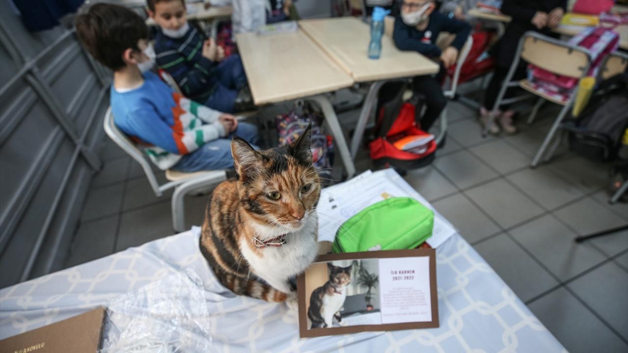 "Başarılarının devamını dileriz"