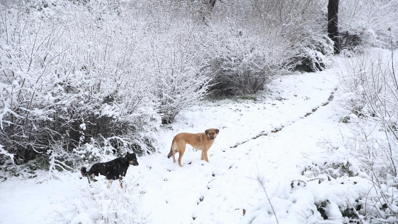 İstanbul- Çamlıca Tepesi 