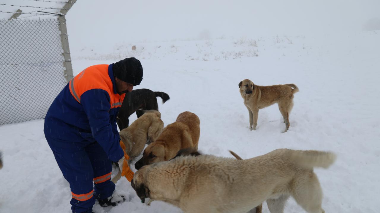 Ankara- Çubuk İlçesi