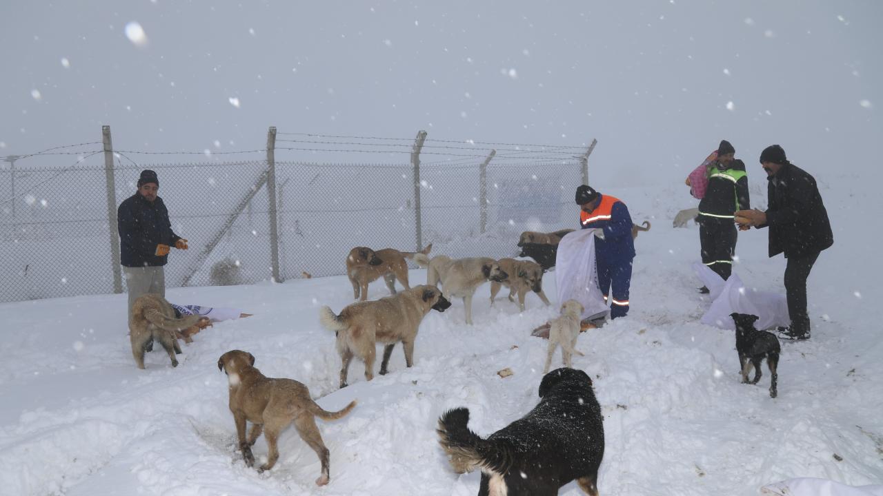 Ankara- Çubuk İlçesi