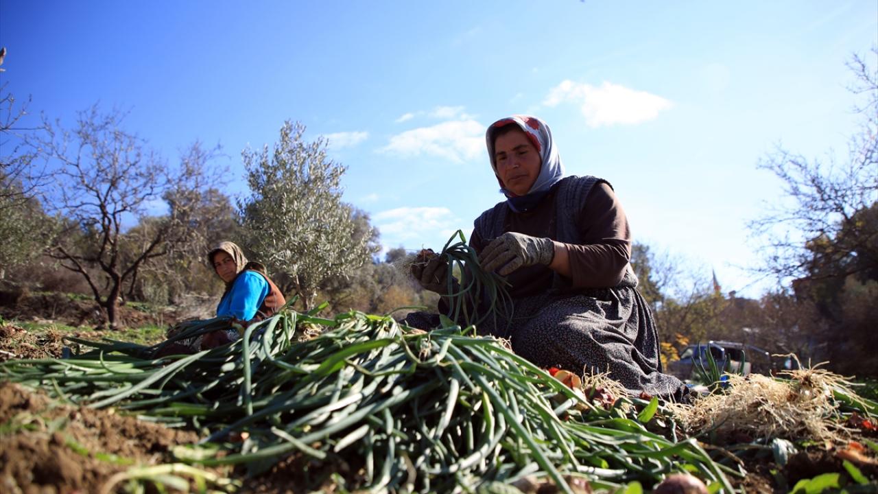 "Bu iş zorla yapılmaz, gönüllü yapılır"
