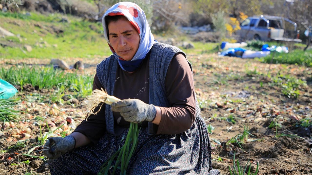 "Sabah erkenden gelir başlarız"