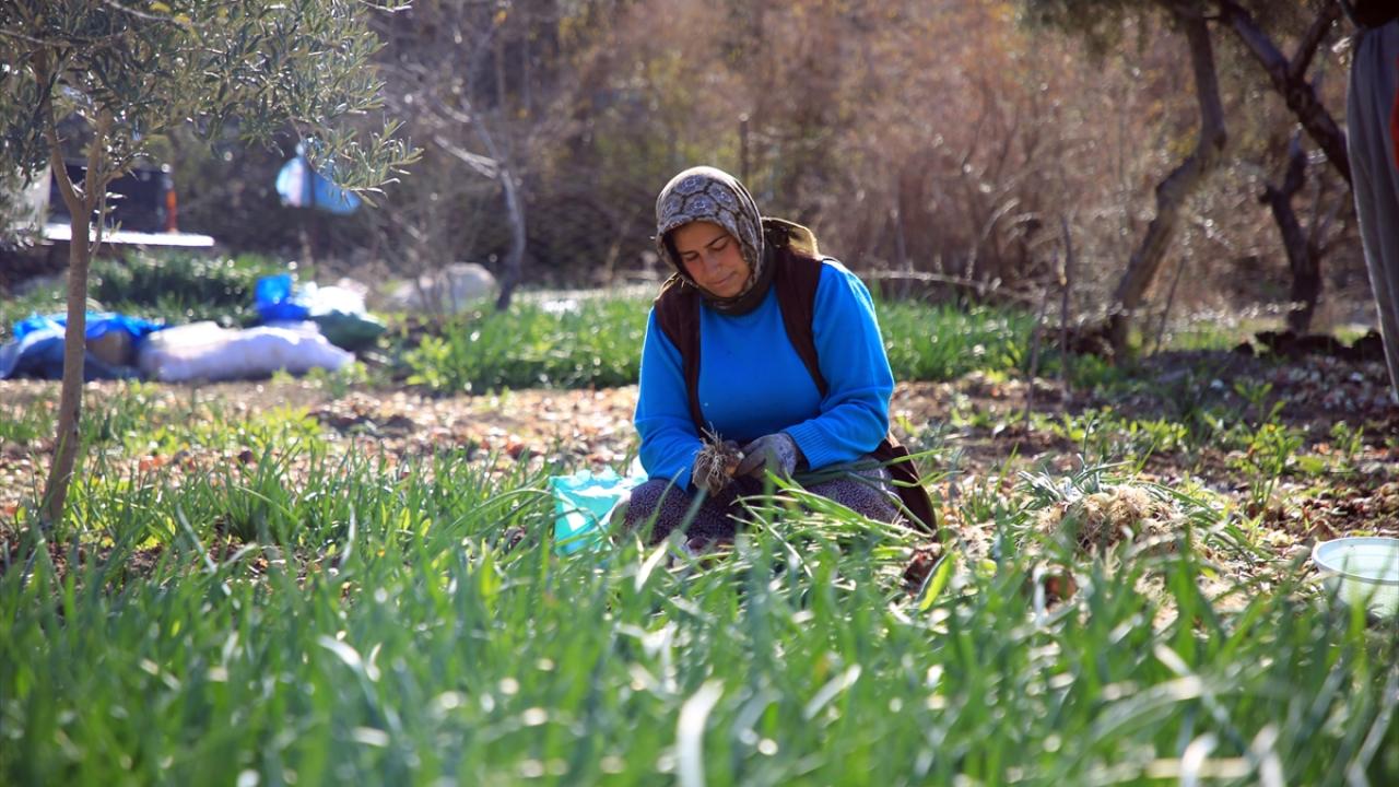 "Çamurla, toprakla savaşıyoruz"