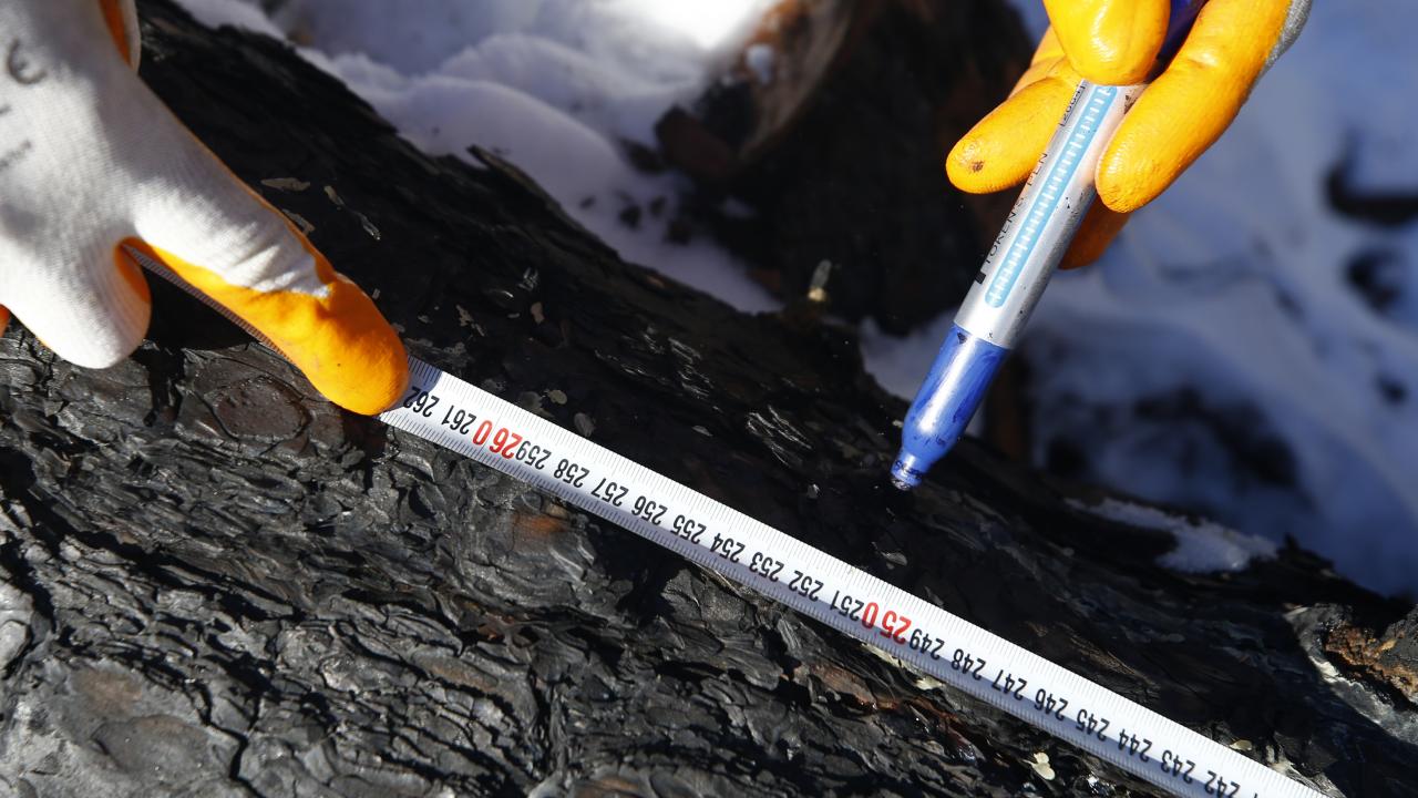 "3 milyon liranın üzerinde girdi sağladık"