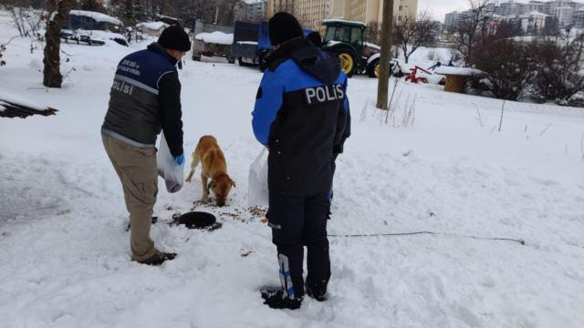 Elazığda polis ekiplerinden sokak hayvanlarına yem ve mama desteği