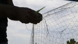 Moritanya'nın Türk balıkçıları