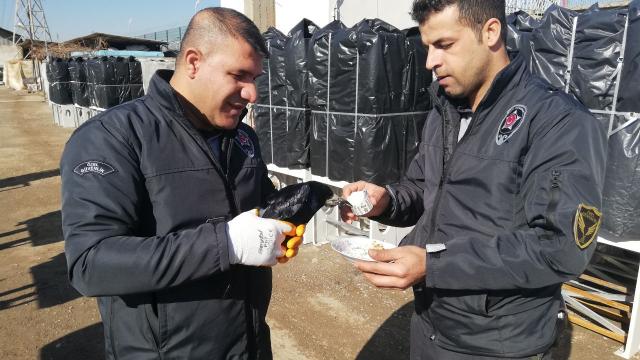 Batmanda kanadı kırık kargaya özel güvenlik görevlileri sahip çıktı