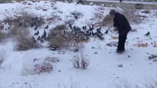 Çöpten topladığı ekmeklerle hayvanları besliyor... "Bana dua ediyorlar"