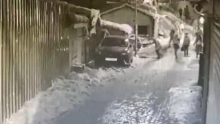 Akıma kapılan köpek hayatını kaybetti