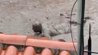 Ekvador'daki sellerde can kaybı artıyor