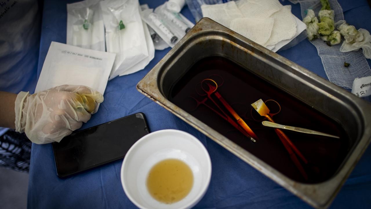 "Balıkçılara, ağda baygın şekilde kaplumbağa gördüklerinde öldü zannedip denize atmamalarını söylüyoruz"