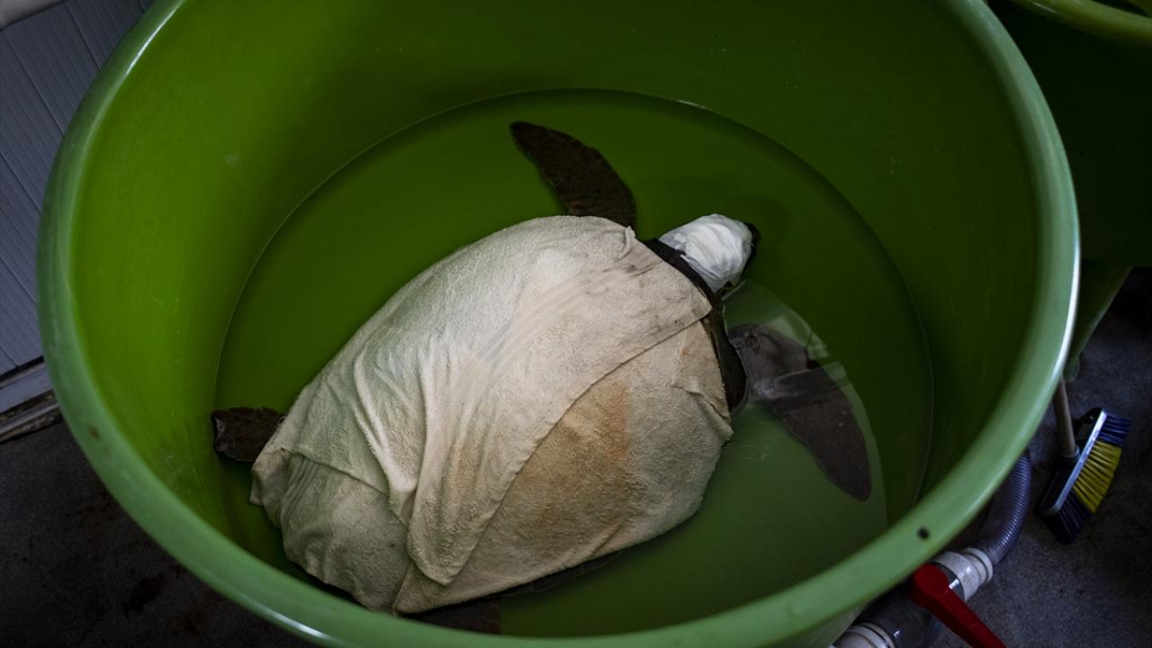 Diğer bir sorun da "misina"