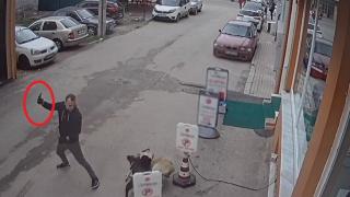 Pitbull saldırısına özçekim