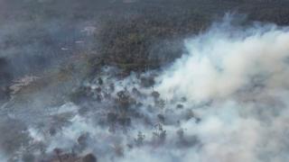 Şili'deki orman yangınında bin 235 hektarlık alan kül oldu
