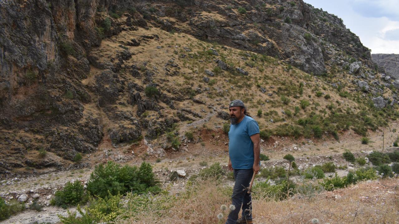 “Dünyadaki gen merkezi Türkiye ve İran dır”