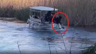 Kadın Azmağı'na düşen köpeği turistler kurtardı