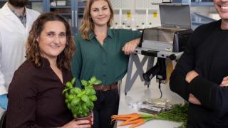 Toz üzerine bu zamana kadar yapılan en kapsamlı çalışma