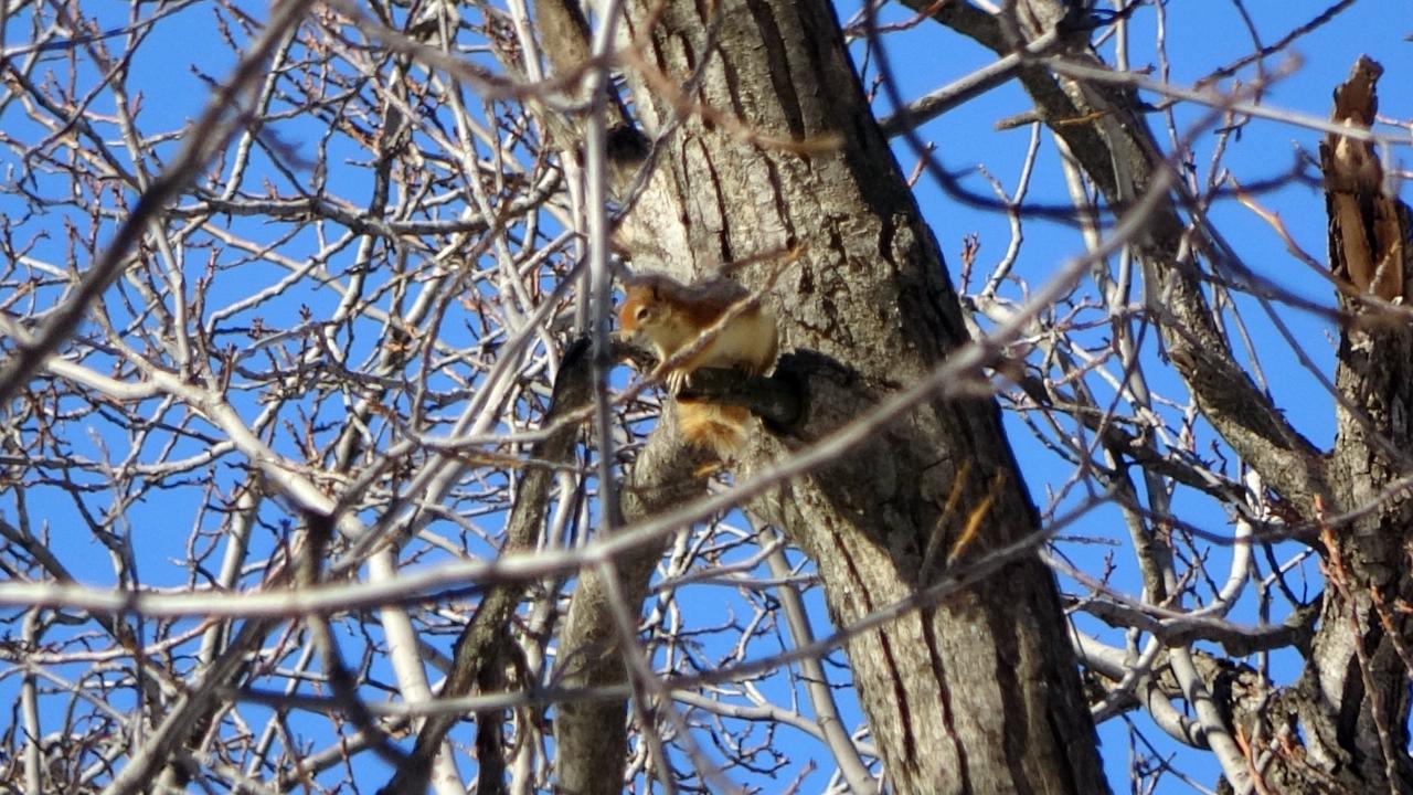 "Sincaplar bu bölgeye renk katıyor"