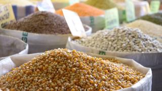 Hububat, bakliyat ve yağlı tohum ihracatında hedef 11 milyar dolar