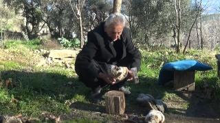 Hassa'da kav mantarı geleneği sürdürülüyor