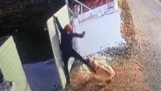 Zincirini koparan köpek öğretmene saldırdı