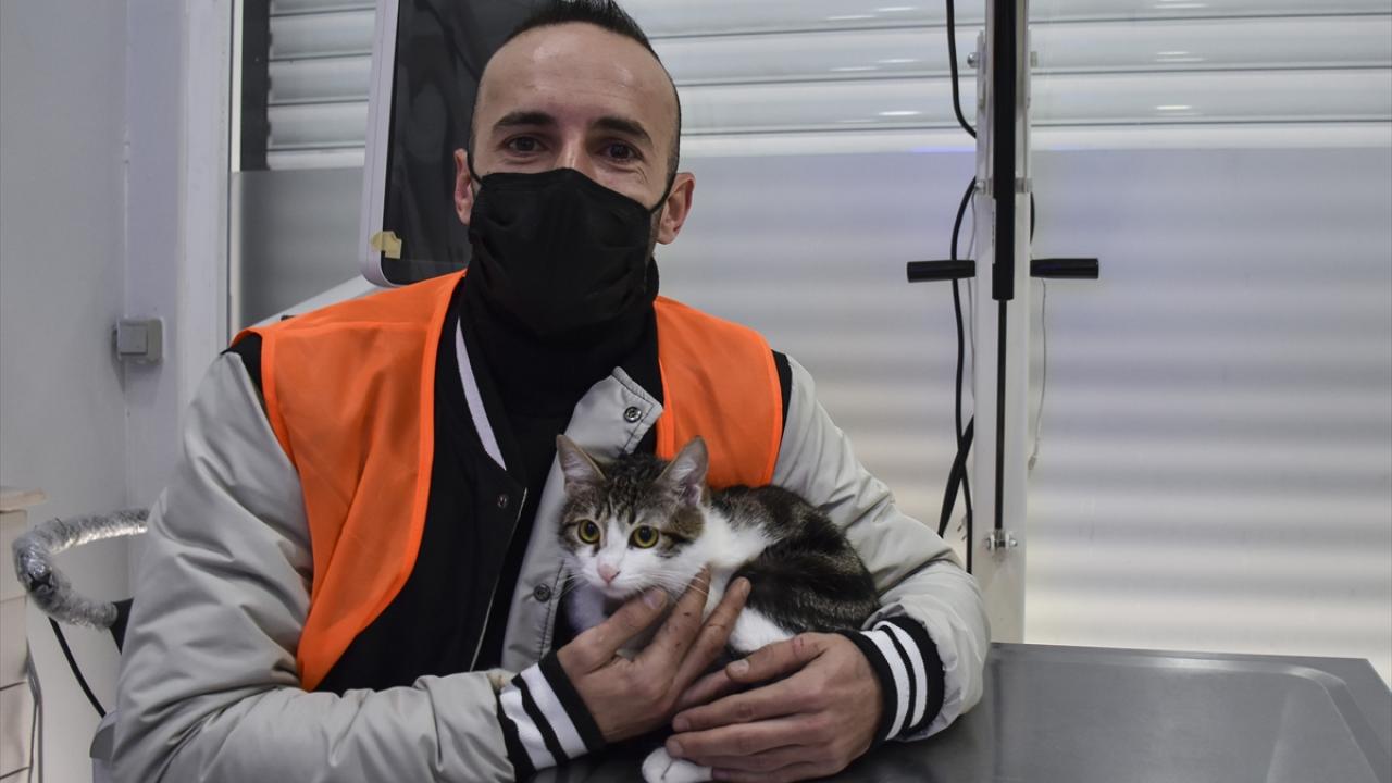 "Eve girdiğimizde kedimizin travmaları vardı"