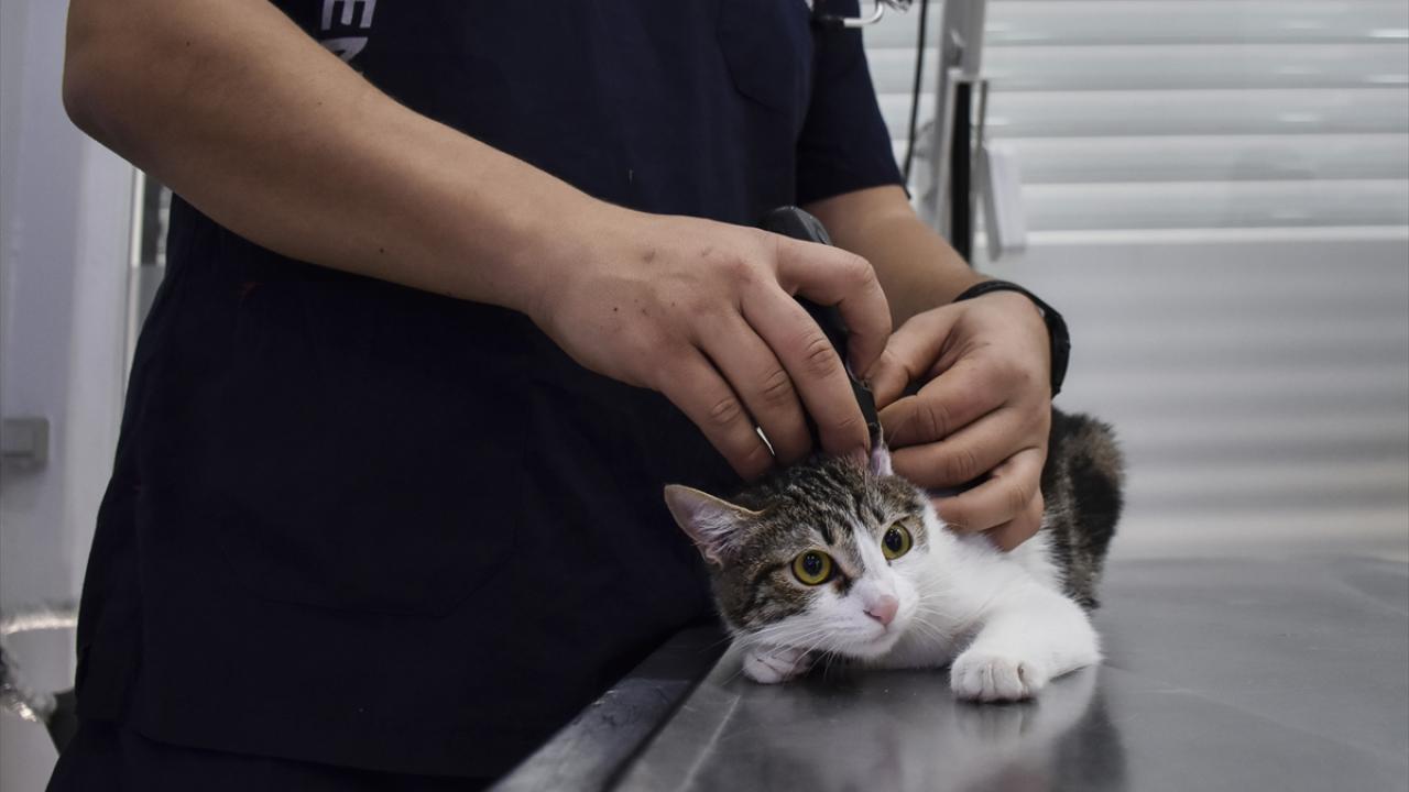 Kliniğine getirildiğinde iki kap su içti