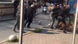 İstanbul'da pitbull saldırısında 3 kişi yaralandı