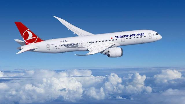 THY uçağı, rahatsızlanan yolcu için Kanadaya acil iniş yaptı