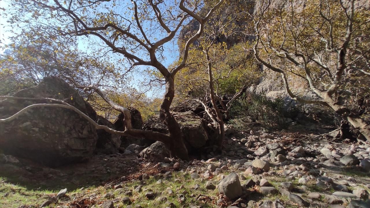 Kutsal bir geçici kullanım alanı