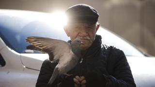 86 yaşındaki ayakkabı boyacısının en yakın arkadaşı güvercinler