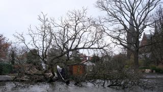 Eunice Fırtınası Hollanda'da: Kırmızı alarm verildi