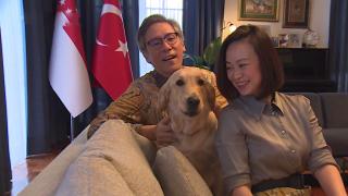 Singapur'un Ankara Büyükelçisi Tow: Türk vatanseverliği etkileyici