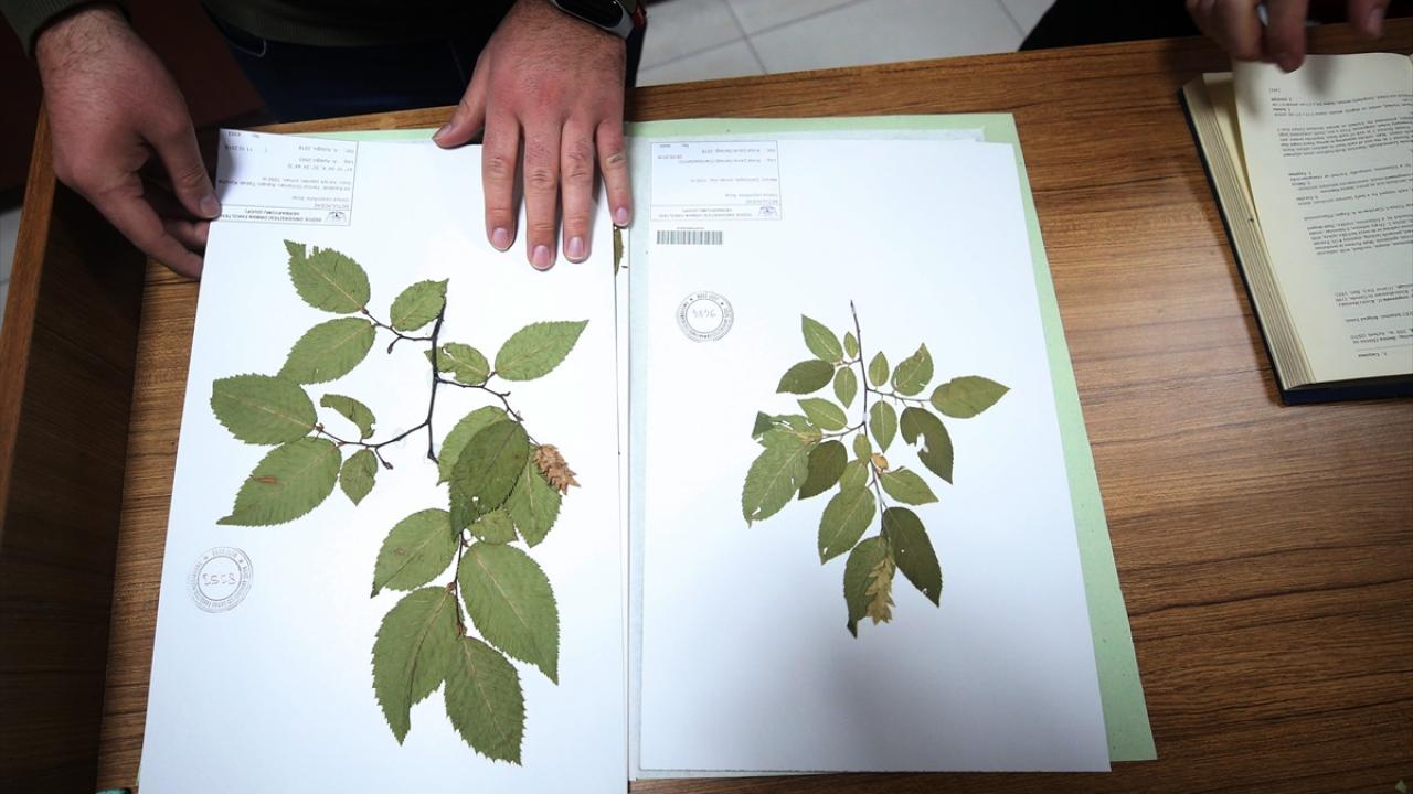 Aksoy, iklim değişikliğinin etkilerine işaret ederek, sözlerini şöyle sürdürdü: