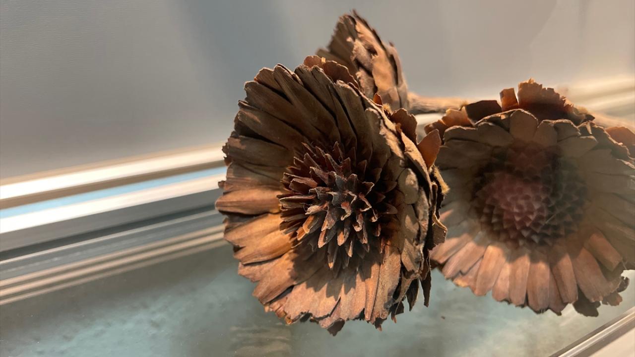 "Tür kayıpları araştırmacıları üzüyor"