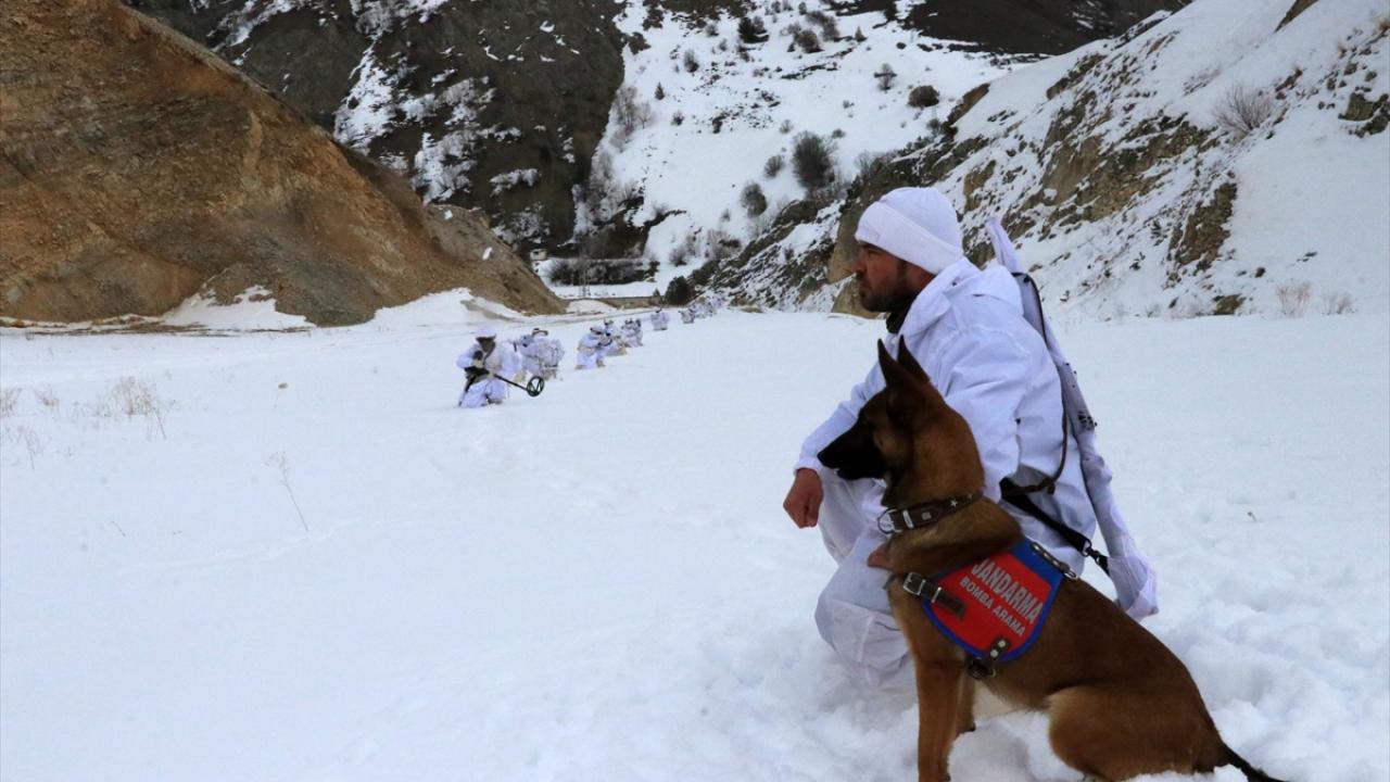 "Halkın huzur ve güvenliği için gece gündüz görev başındayız"