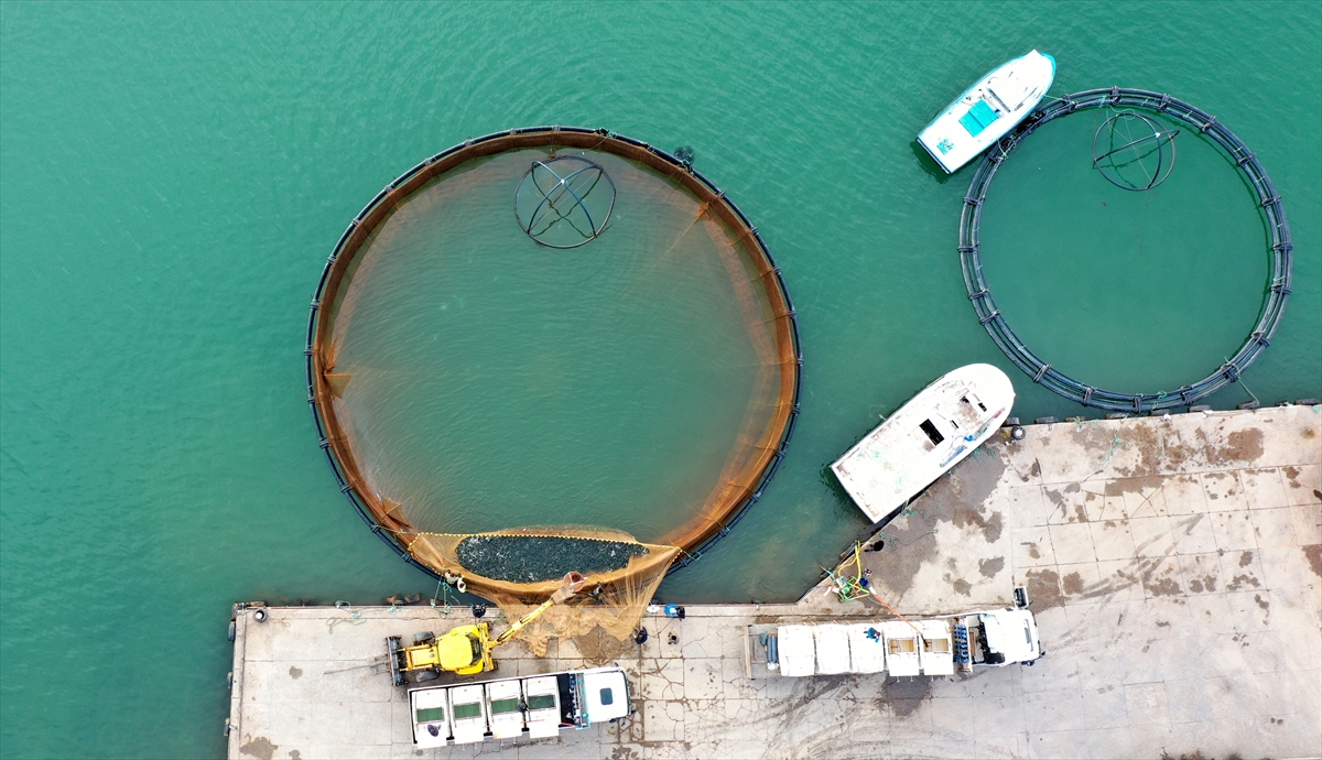 Yaz - kış balıkçılık yapılıyor