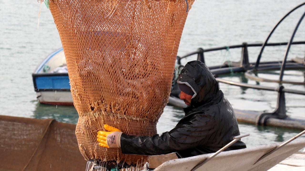 70 ülkeye ihraç ediliyor
