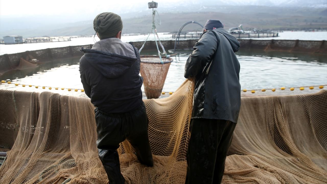 Tesiste yaklaşık 90 kişi istihdam ediliyor