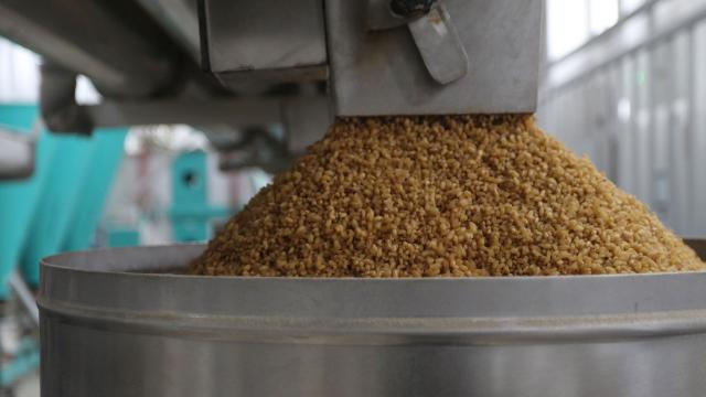 Duru Bulgur: Yasal haklarımızı kullanacağız
