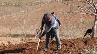 Siirt'te 443 aile kırsala göç ederek tarımsal üretime başladı