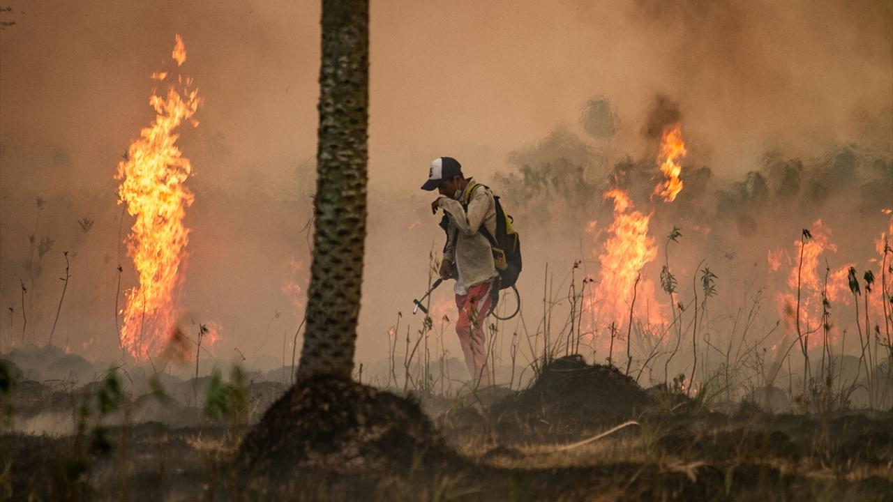Corrientes`in yüzölçümünün yaklaşık yüzde 9`u yangınlardan etkilendi