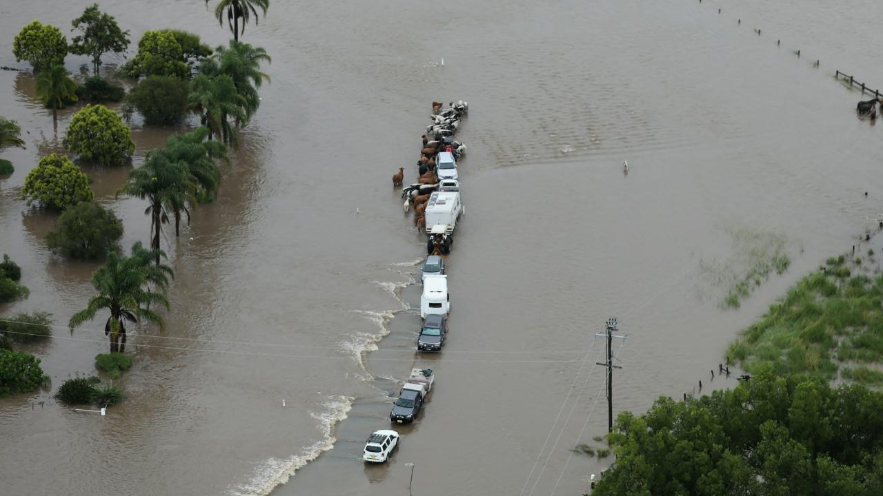 Eyalette binlerce kişi geceyi tahliye merkezlerinde geçirdi