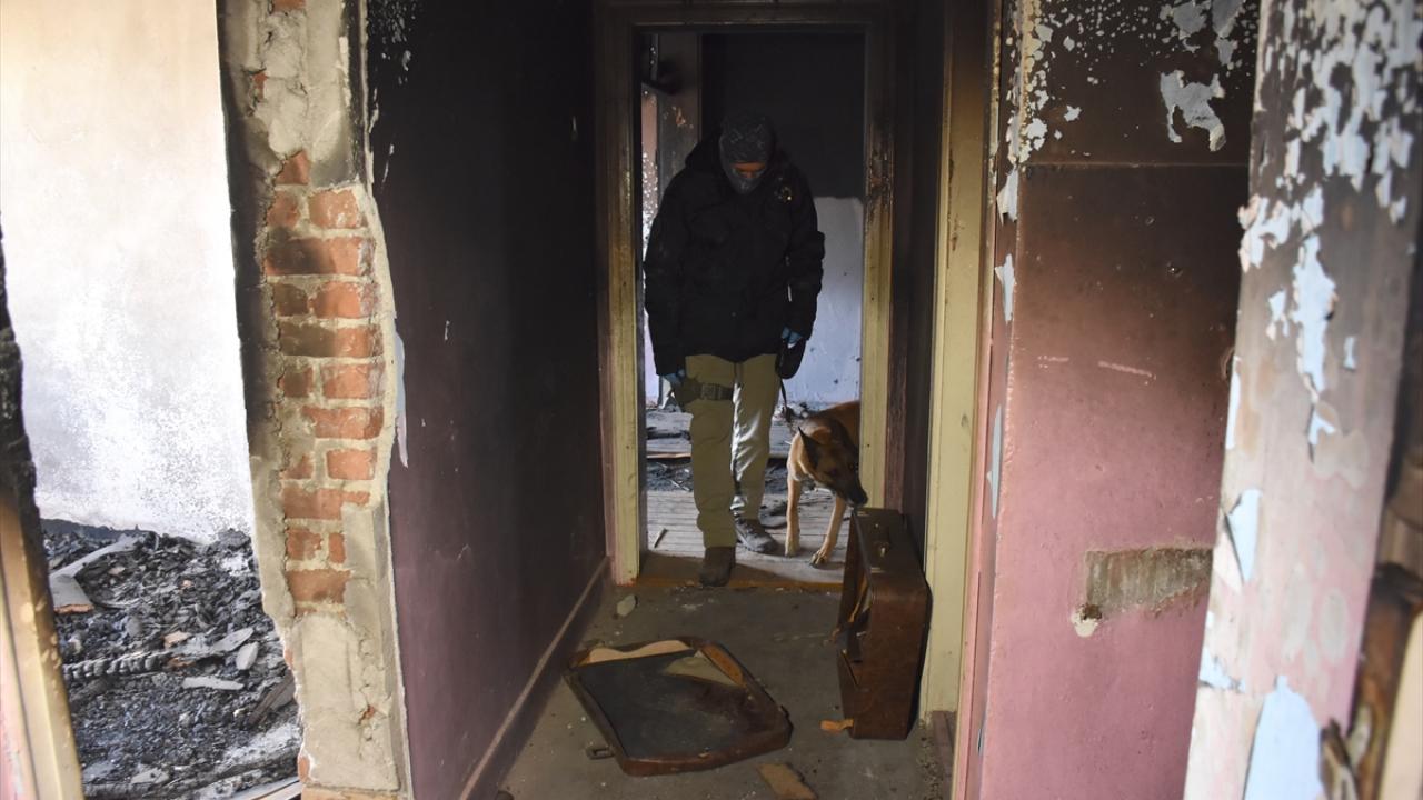 Hassas burunlu köpekler narkotik polisinin en büyük destekçisi