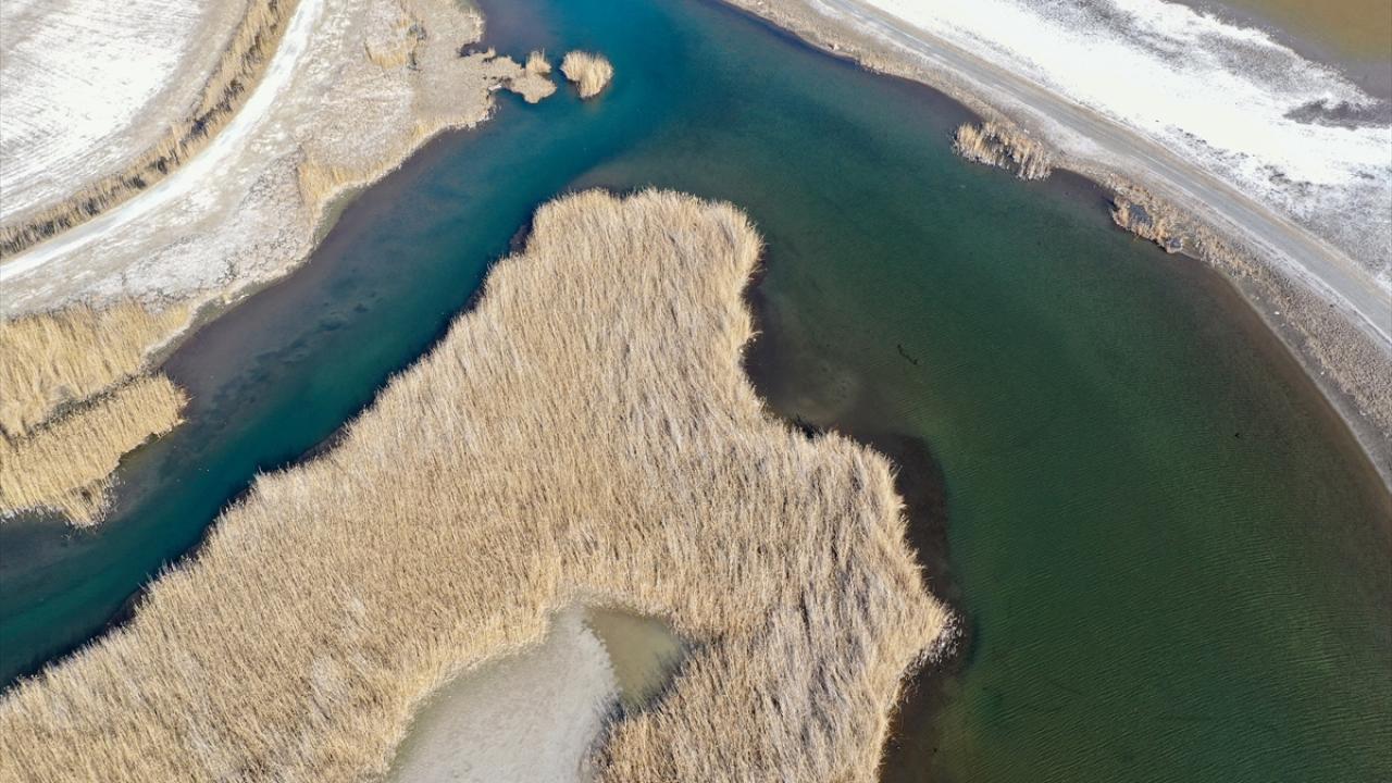 "21`den fazla endemik tür gözlemlenebiliyor"