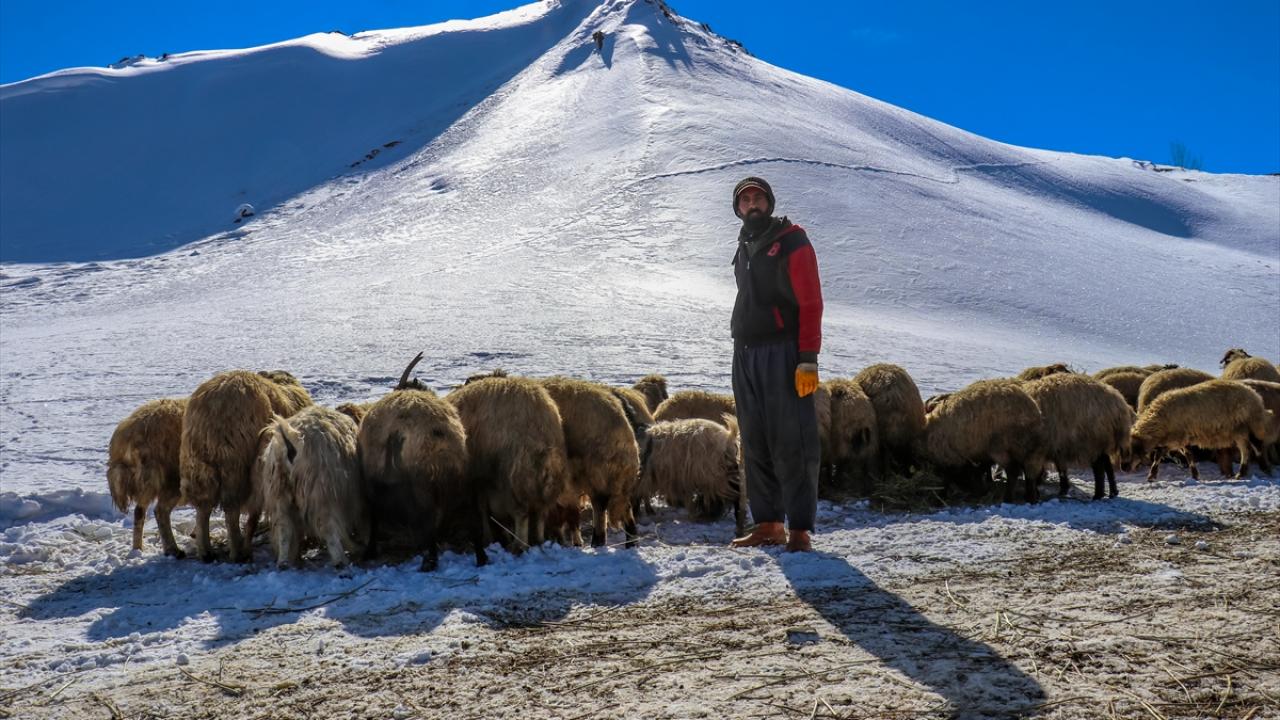 "Üretimde artış bekliyoruz"