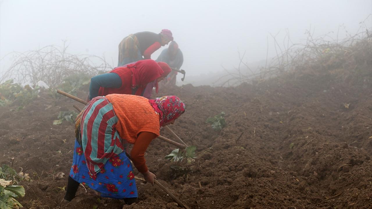 "Bizim istirahatimiz yok, iş beklemez"