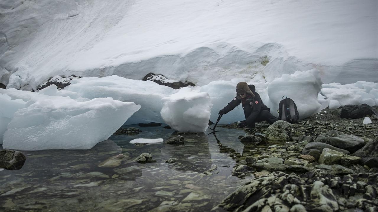 Trafik polisliğinden bakteriyel araştırmalara