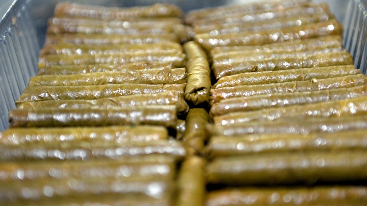 "Eğer yaprak kayıt altına alınırsa hem devletimiz hem de biz kazanırız"