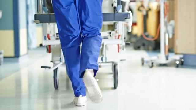 Sahipsiz köpeklerden kaçarken düşen kişi hayatını kaybetti